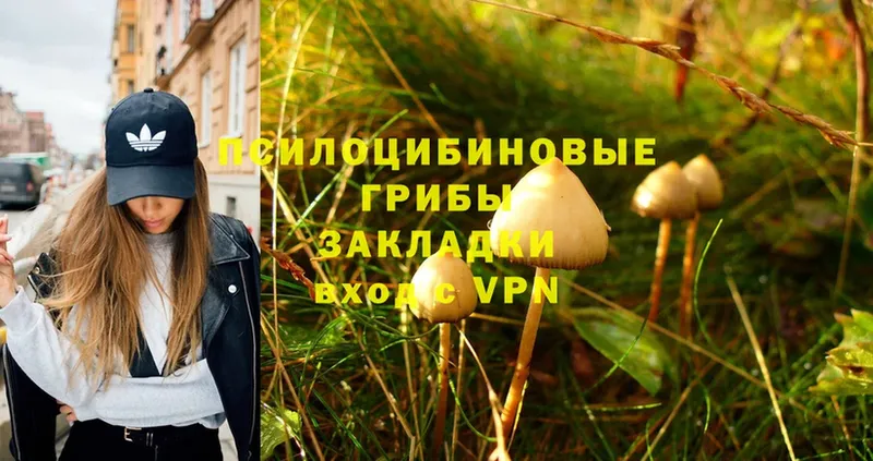 что такое   kraken ССЫЛКА  Псилоцибиновые грибы Magic Shrooms  Заполярный 